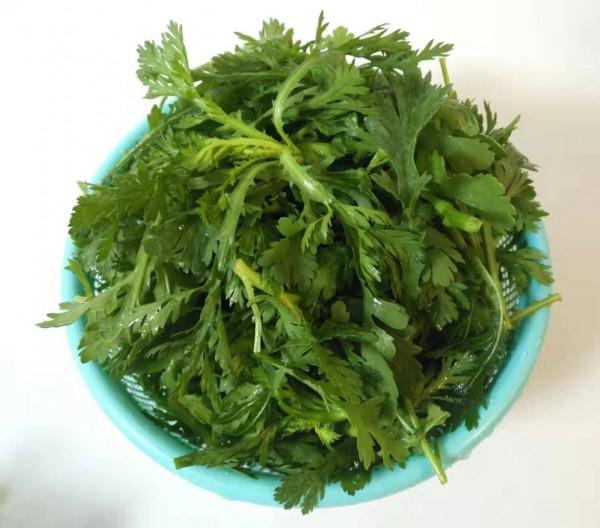 31種野菜大合集，帶你認識不同的野菜和吃法，你想要的野菜這裡有