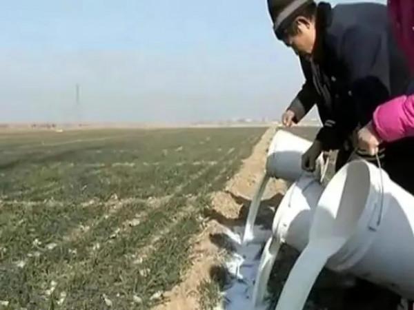 2006年，日本人在山東租1500畝地，卻閒置5年啥也不幹，意欲何為