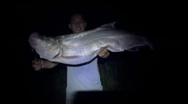 26斤！小夥釣起西江“翹嘴魚王”，網友：中看不中用，肉老難吃