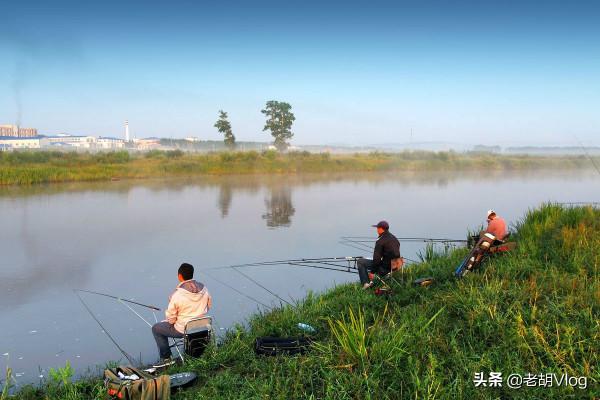 大降溫天氣鯽魚還會開口嗎？這3種情況不要下竿，空軍機率太大