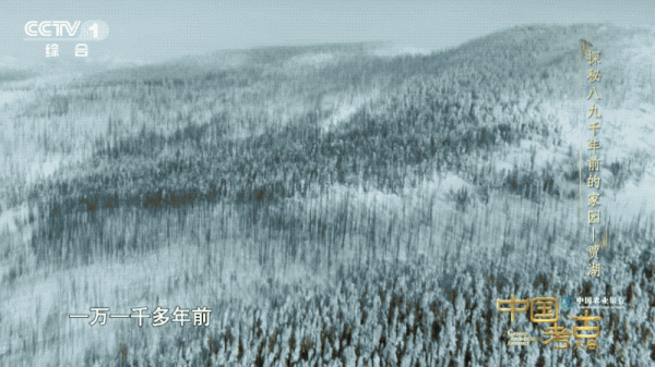 穿越時空，探秘賈湖先民的定居生活