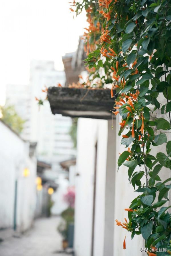 福建讓我驚喜的旅行地,不是廈門,而是這座藏著北宋建築的千年古城