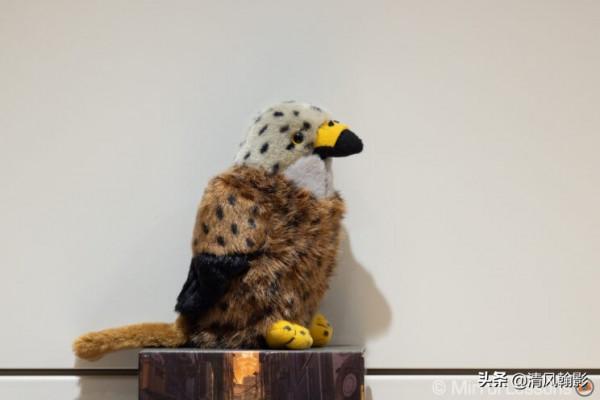 佳能微單800和600長焦鏡頭怎麼樣?不算權威的評測瞭解下 佳能微單800和600長焦鏡頭怎麼樣?不算權威的評測瞭解下