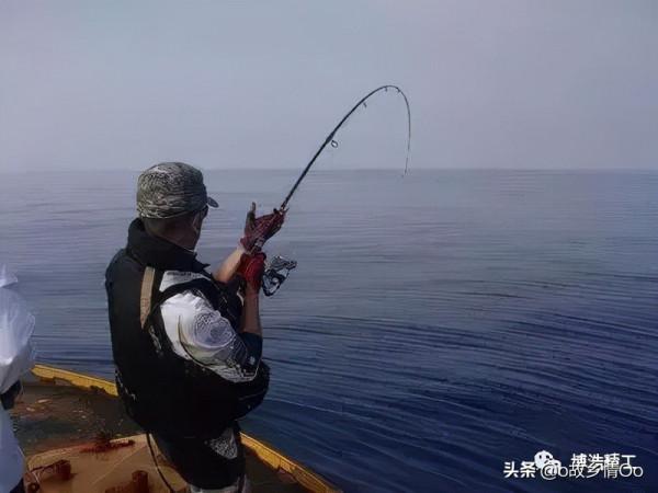 路亞新手如何挑選適合自己的輪子