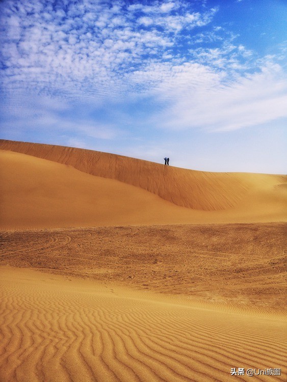 額濟納這些最美秋色,今年看不到了,來年你要去嗎? 額濟納這些最美秋色,今年看不到了,來年你要去嗎?