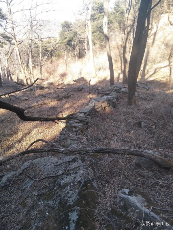 冬至驢行泰山之黃石崖，老平臺，映霞峰，桃花峪東西穿越