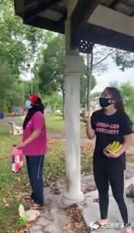 小奶狗被野猴&quot;綁架&quot;，在樹上餓了整整3天終於得救