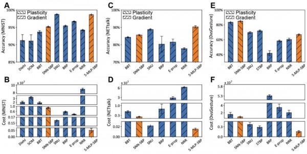 登上Science子刊,神經科學再次啟發DNN設計!中科院揭秘介觀自組織反向傳播機制 登上Science子刊,神經科學再次啟發DNN設計!中科院揭秘介觀自組織反向傳播機制