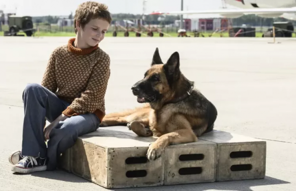 俄羅斯也有“人狗奇緣” 俄羅斯也有“人狗奇緣”