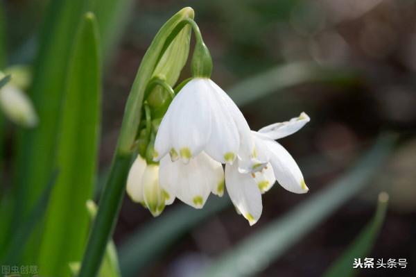 一個“熊孩子”與“熊家長”的故事