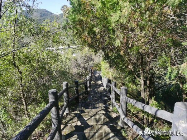 每年僅開放一個月的賞紅景點,到底值不值得去? 每年僅開放一個月的賞紅景點,到底值不值得去?