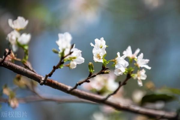 為什麼善良總被誤解？