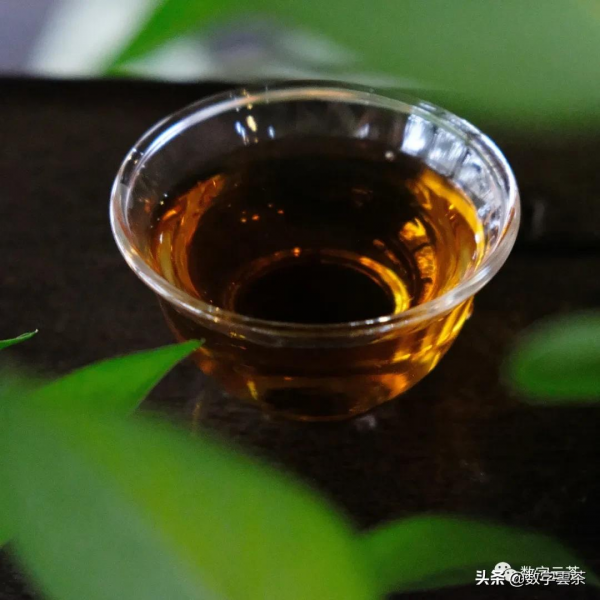 飲茶、煮茶——禁忌