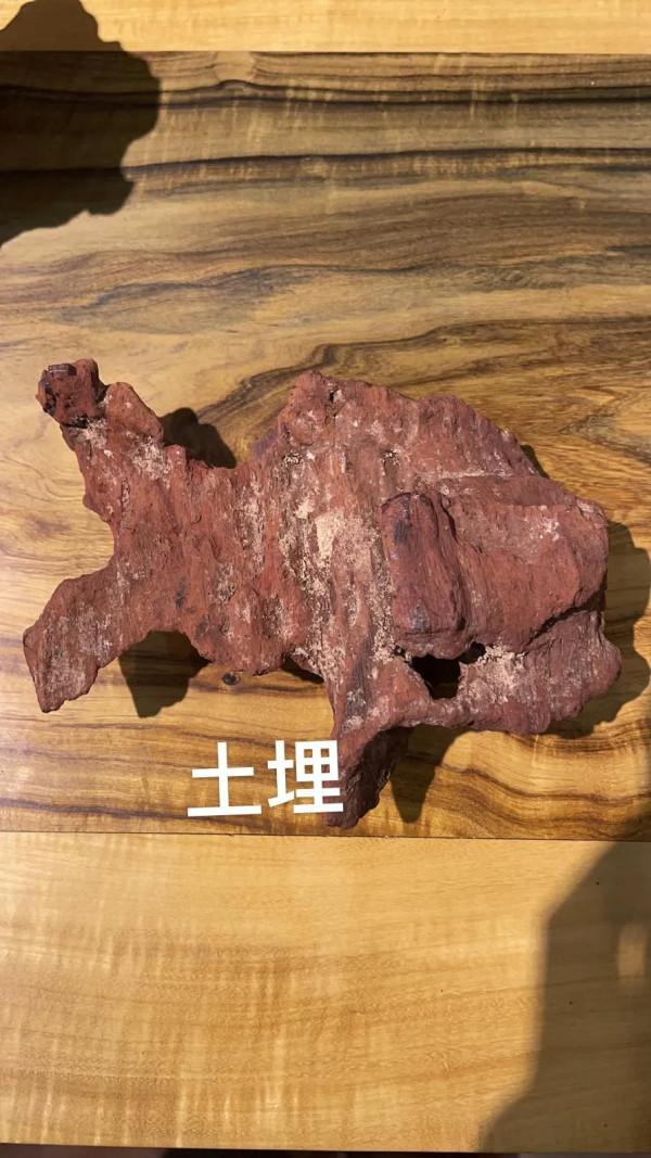 簡說海南黃花梨：四