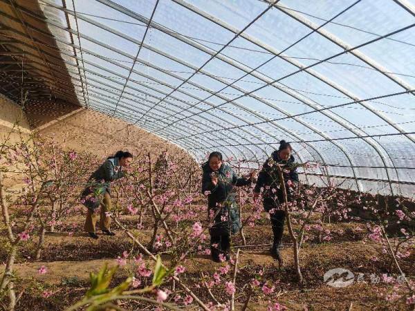 【北國之春&CenterDot;美麗民勤 】紅旗谷裡歡樂多