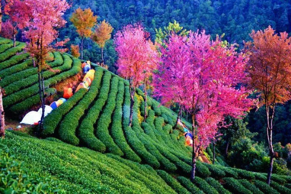 盤點國內12個治癒系旅行地，2021欠自己的旅行，一定要還給自己