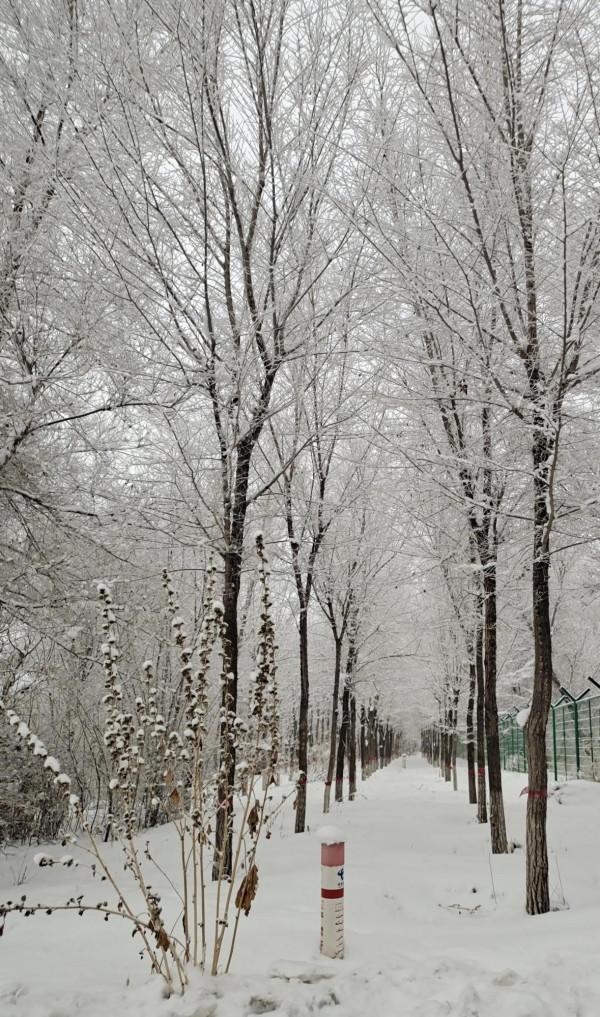 ＃烏魯木齊頭條#烏魯木齊的冬天是美麗的