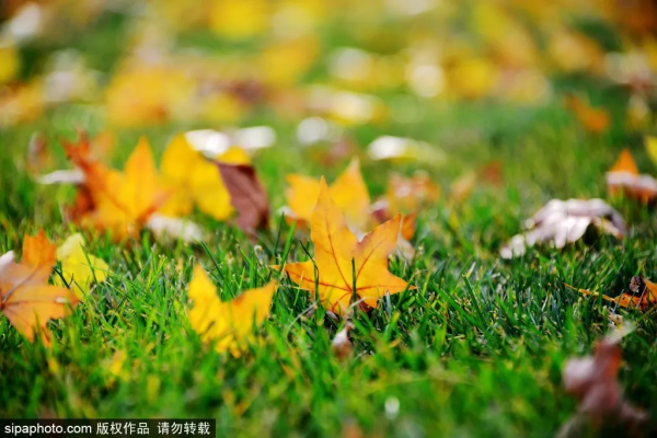 救急！還沒安排小長假？這份指南告訴你京城那些人間值得的自然風光！