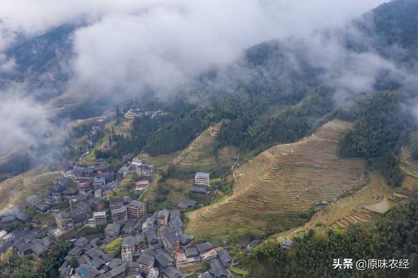 農村集體統一經營：三大理由