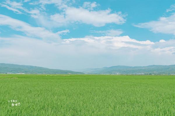 西雙版納夏天很熱嗎？其實那裡有個地方，是夏無酷暑冬無嚴寒之地