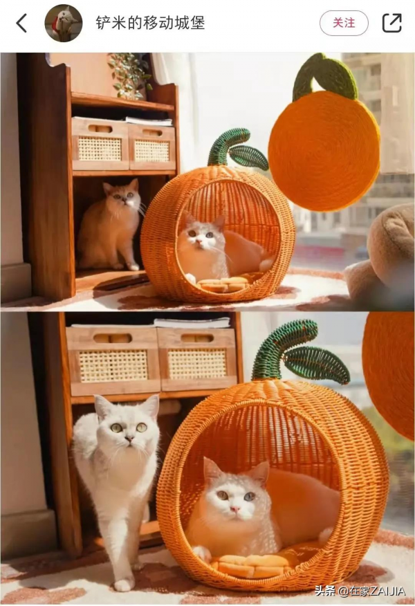 當代青年新年禮物拼的就是出奇不意？送到心坎裡的才是真朋友