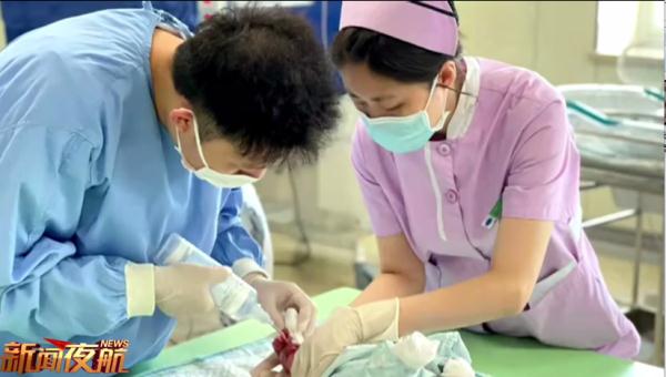 不敢碰！這個“透明”寶寶四肢血紅，讓人心疼