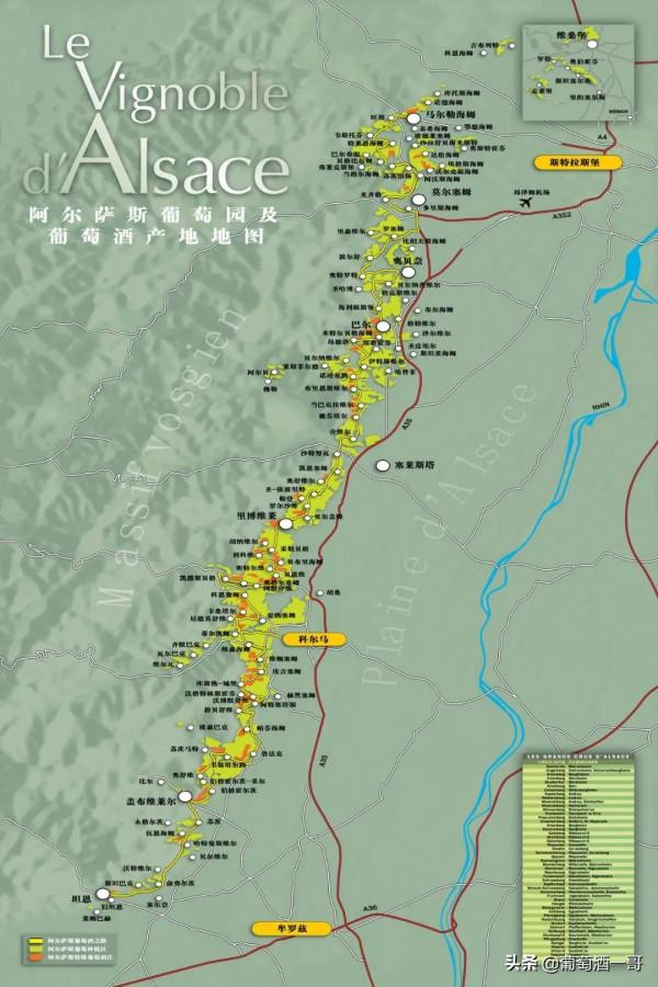 阿爾薩斯，怪得很的葡萄酒產區