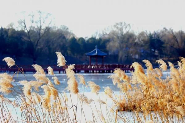 漫談圓明 | 遇見圓明園的那一個冬天