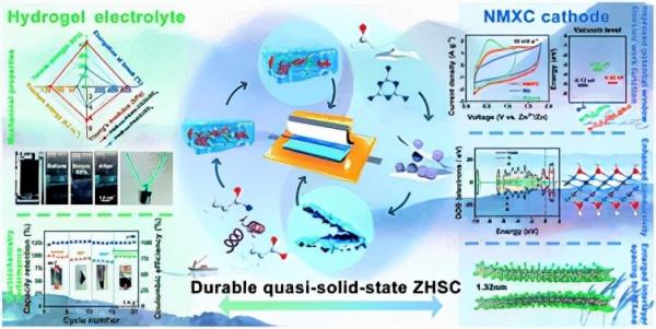 硫酸化多糖增強水凝膠,用於基於MXene的鋅離子混合超級電容器 硫酸化多糖增強水凝膠,用於基於MXene的鋅離子混合超級電容器