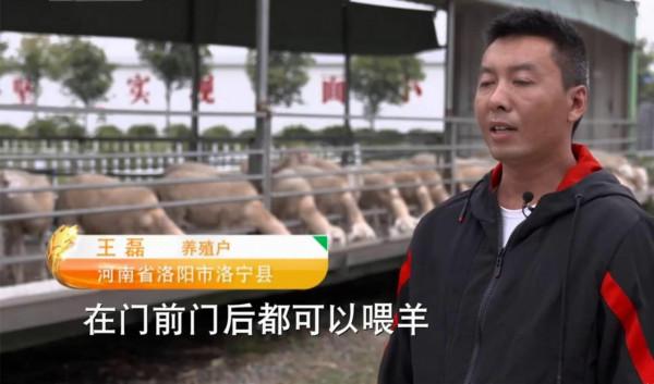 在農村創業,改造集裝箱來養小羊羔,一年能賺上3萬,你信嗎? 在農村創業,改造集裝箱來養小羊羔,一年能賺上3萬,你信嗎?