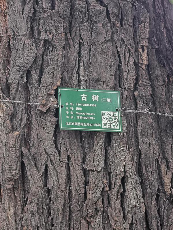 殘破不堪的延慶寺與一牆之隔的萬壽寺形成鮮明對比