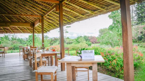 印尼旅遊不可錯過的一站：火山下的夢幻仙境，隨手一拍就是大片