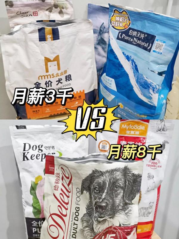 這些狗糧其實都是毒糧，你咋還在喂？