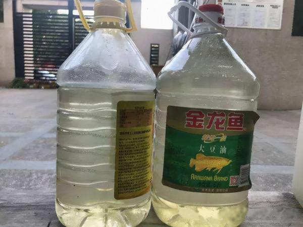 澆花用雨水、池塘水,還是自來水?內行人說完,才發現都叫錯了 澆花用雨水、池塘水,還是自來水?內行人說完,才發現都叫錯了