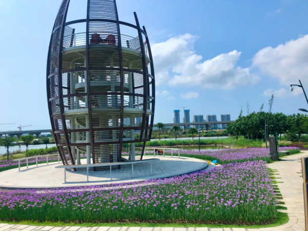 學會搭配這8種園藝植物，讓你的花園收穫一個有趣的靈魂