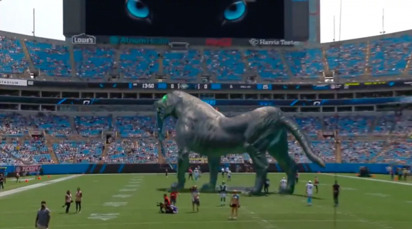 NFL球場驚現黑豹，觀眾都看呆了