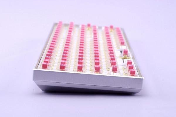 質感手感兼顧，TTC金粉軸 &amp; 珂芝 100PRO 簡評