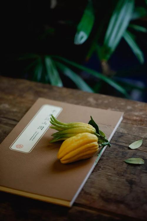 散文：歲末回望，往事不可追，客行天地間