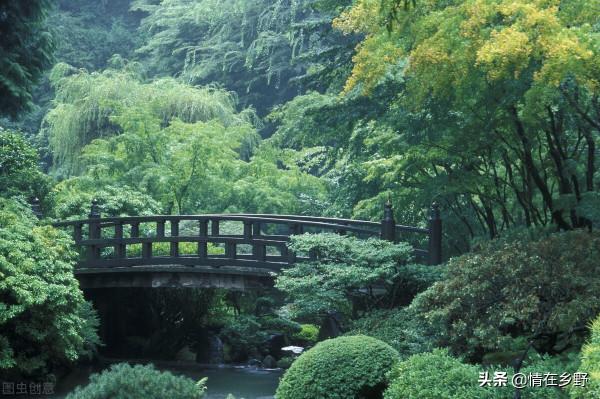 自然風景，治癒心情的那種美