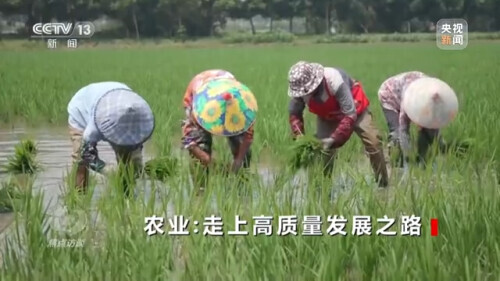 農業：走上高質量發展之路