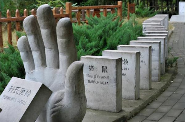 費米悖論：人類註定會滅絕？四種滅絕方式你覺得哪種可能性最大？