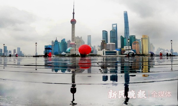 雨中留影味更濃