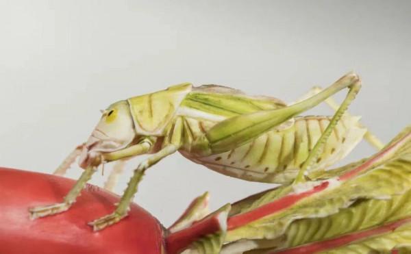 河南農民挖到&OpenCurlyDoubleQuote;兩顆蔬菜&rdquo;，專家花800元買下，如今成為鎮館之寶