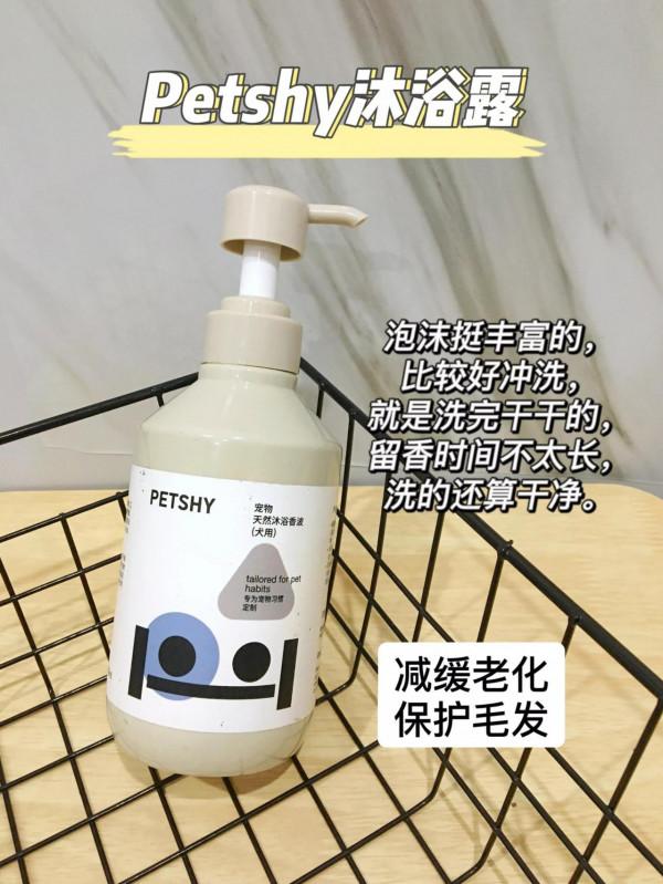 冬天給狗狗洗澡時這點要做對