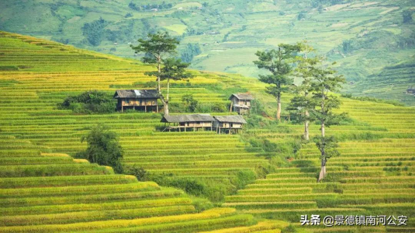 詩詞中的農家,光景美如畫,愜意的生活在鄉村 詩詞中的農家,光景美如畫,愜意的生活在鄉村