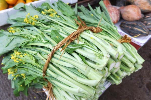 距廣州一小時車程的增城派潭鎮,一個遠離城市喧囂的生態小鎮 距廣州一小時車程的增城派潭鎮,一個遠離城市喧囂的生態小鎮