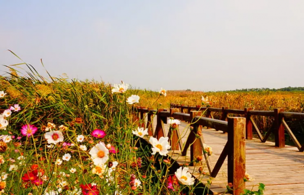 甲友心聲——24歲遇甲癌 甲友心聲——24歲遇甲癌
