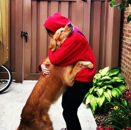 這幾種“大狗”，沒有被禁養，養了不違法
