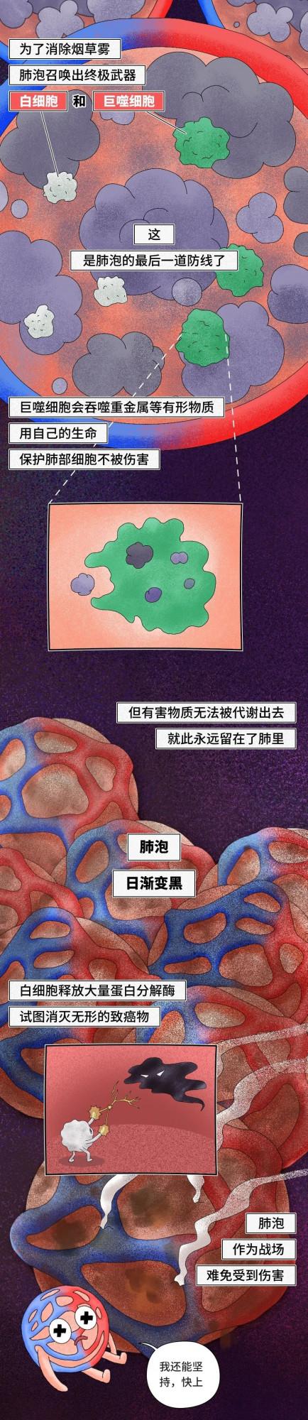 你的肺，就是這樣壞掉的