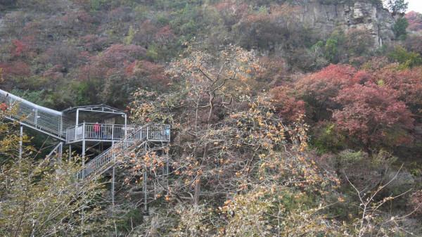 看萬山紅遍,層林盡染(2)——青州天賜山賞紅葉 看萬山紅遍,層林盡染(2)——青州天賜山賞紅葉